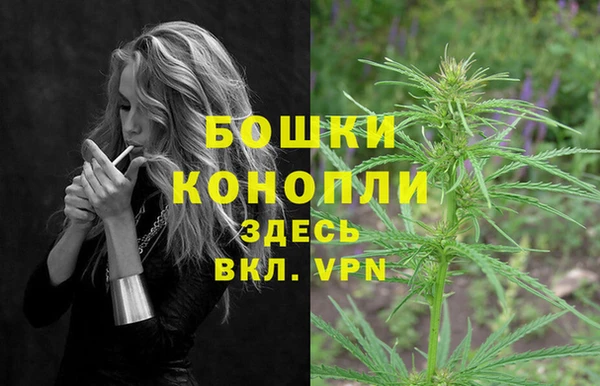 ALPHA PVP Сосновый Бор