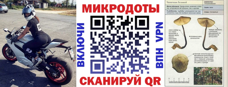 Галлюциногенные грибы Cubensis  Купить  Полысаево 